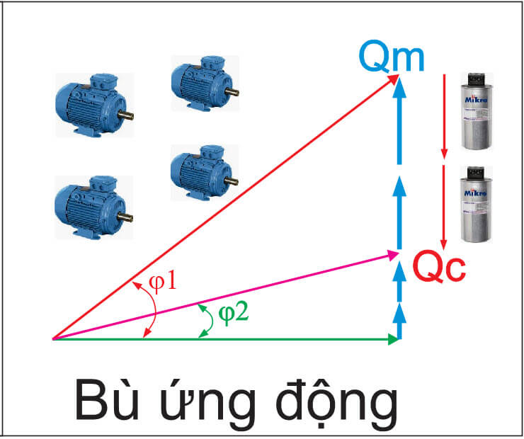 bù ứng động